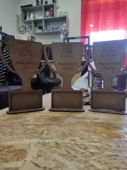 Customizable Trophy