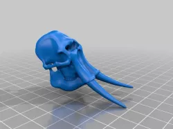 Elephant Skull
