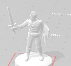 Elf with sword shield and pistol with silencer