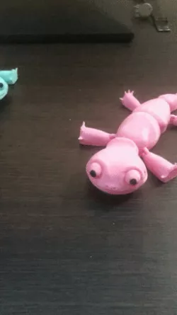 Flexible Smiling Gecko