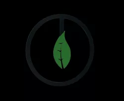 Four main elements - Earth