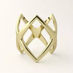 Futuristic ring