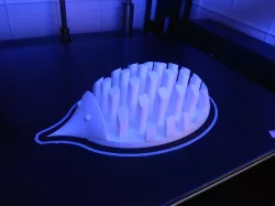 Hedgehog Stuff Holder/Organizer