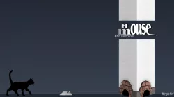 House Mouse