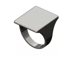Large basic flat top rectangular signet ring 3D print model