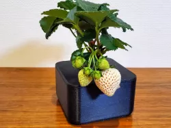 M (Medium-sized hydroponic planter)