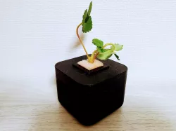 S (Small hydroponic planter)
