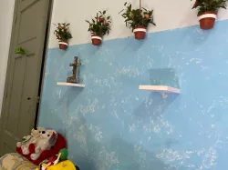 Shelves