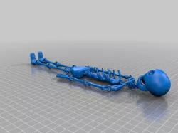 Squelette articulé/ Articulated Skeleton