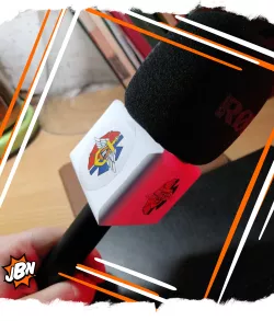 Triangle Mic Flag