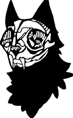 2D Cat Skull