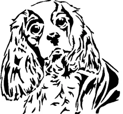 Cavalier King Charles Spaniel stencil