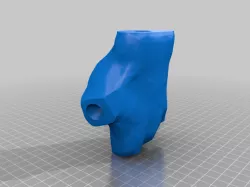 hand for mannequin - 3d scan