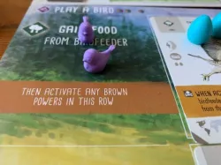 Wingspan Bird Action Tokens
