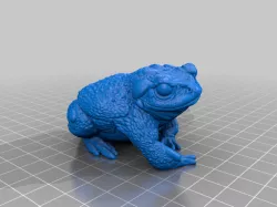 frog
