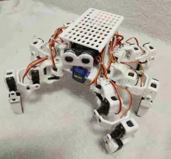 Hexapod robot, moving along a random route