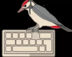 Picchio - Keystrokes Automator