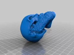 Skull with Beard