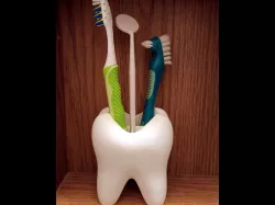 Toothbrush Holder Tooth