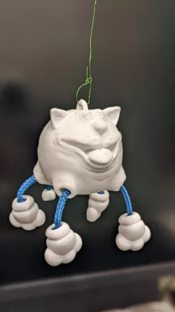 cat on strings