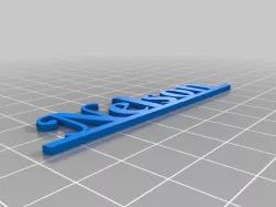 Nelson Christmas Name Ornament
