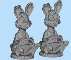 rabbit motorist
