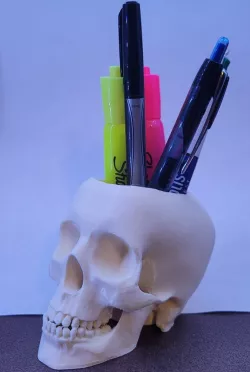 Skull Pen & Pencil Holder Cup for Desk