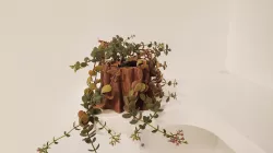 Stump Planter and Pen Holder