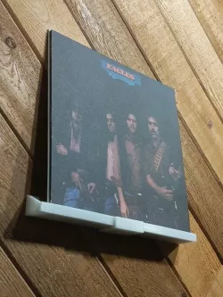 Vinyl record holder, wall mount