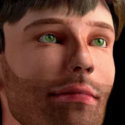 3D male head with texture 3D model