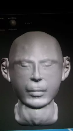 3D model lica