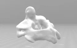 Axis - C2 vertebra 3D model