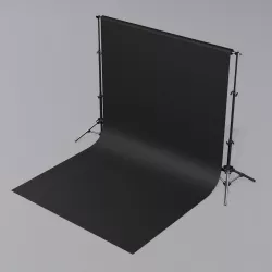 backdrop 3D model