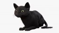 Cat black Rigged Low-poly  3D model