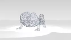 Chameleon Wireframe 3D model