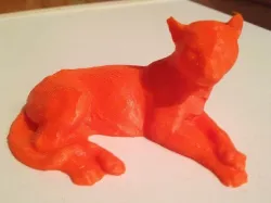 Cheetah