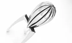 Citrus Squeezer