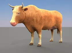 Cow Male and female plus animation Low-poly  3D model