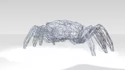 Crab Wireframe 3D model