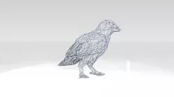 Crow Wireframe 3D model