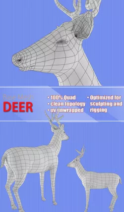 Deer  Base Mash Low-poly  3D model