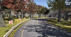 Forest Racing Track Low-poly  3D model