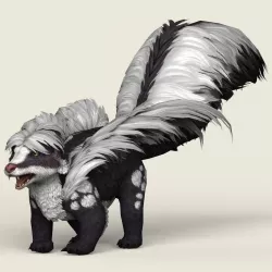 Game Ready Animal Skunk Low-poly  3D model