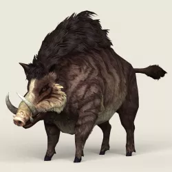 Game Ready Fantasy Boar Low-poly  3D model