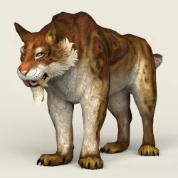 Game Ready Sabertooth Low-poly  3D model