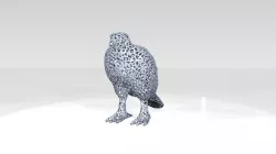 Hawk Voronoi 3D model