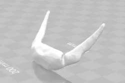 Hyoid Bone 3D model