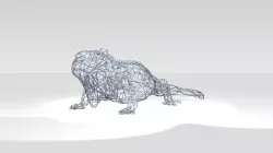 Iguana Wireframe 3D model