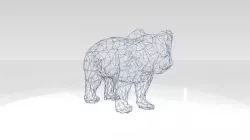 Koala Wireframe 3D model