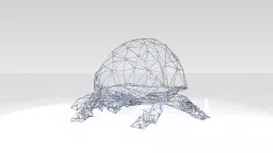 Ladybird Wireframe 3D model
